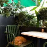How to Set Up a Cozy and Safe Pet-Friendly Home Corner